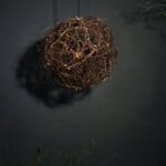 Das Nest