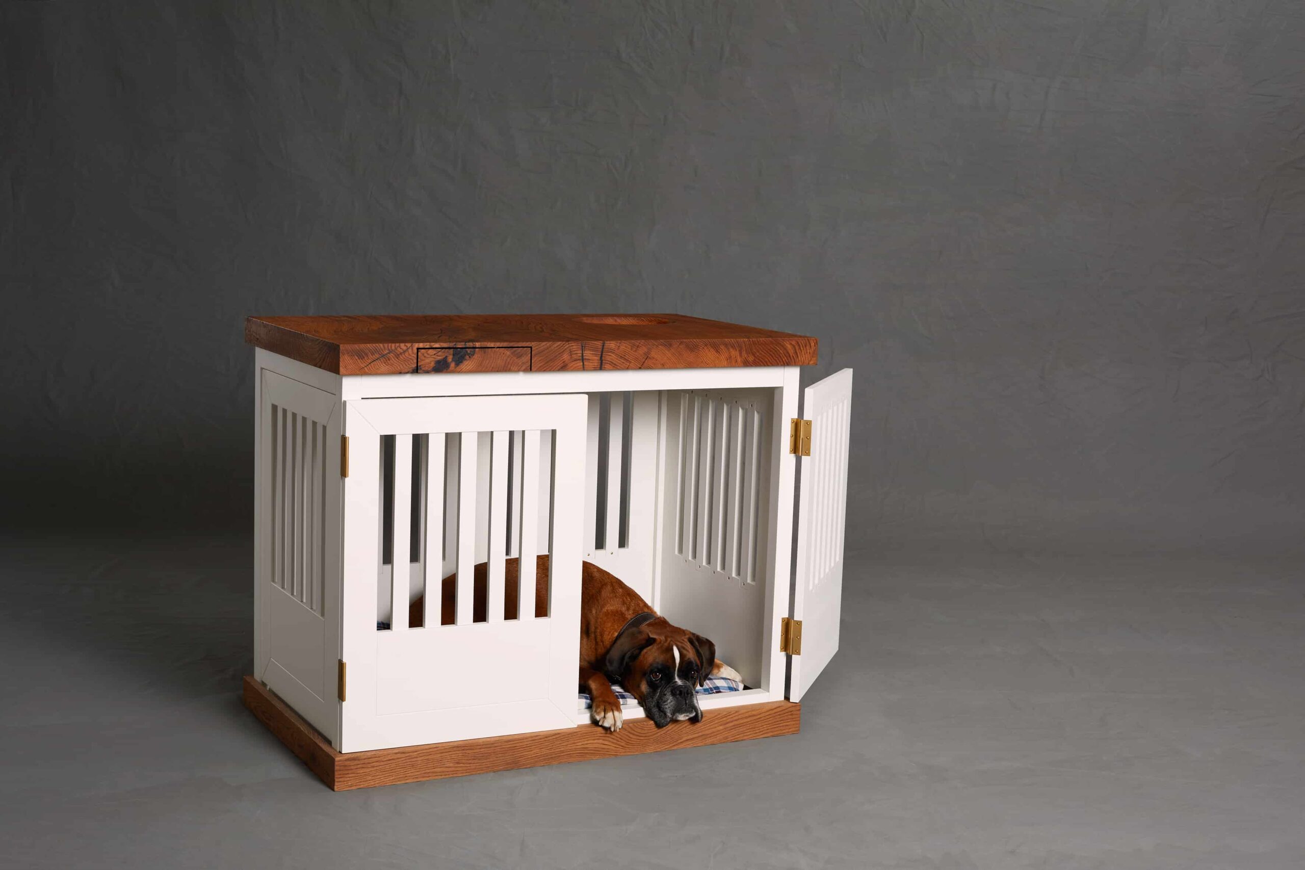 Elli, Hundebox — holz bewegt 2023