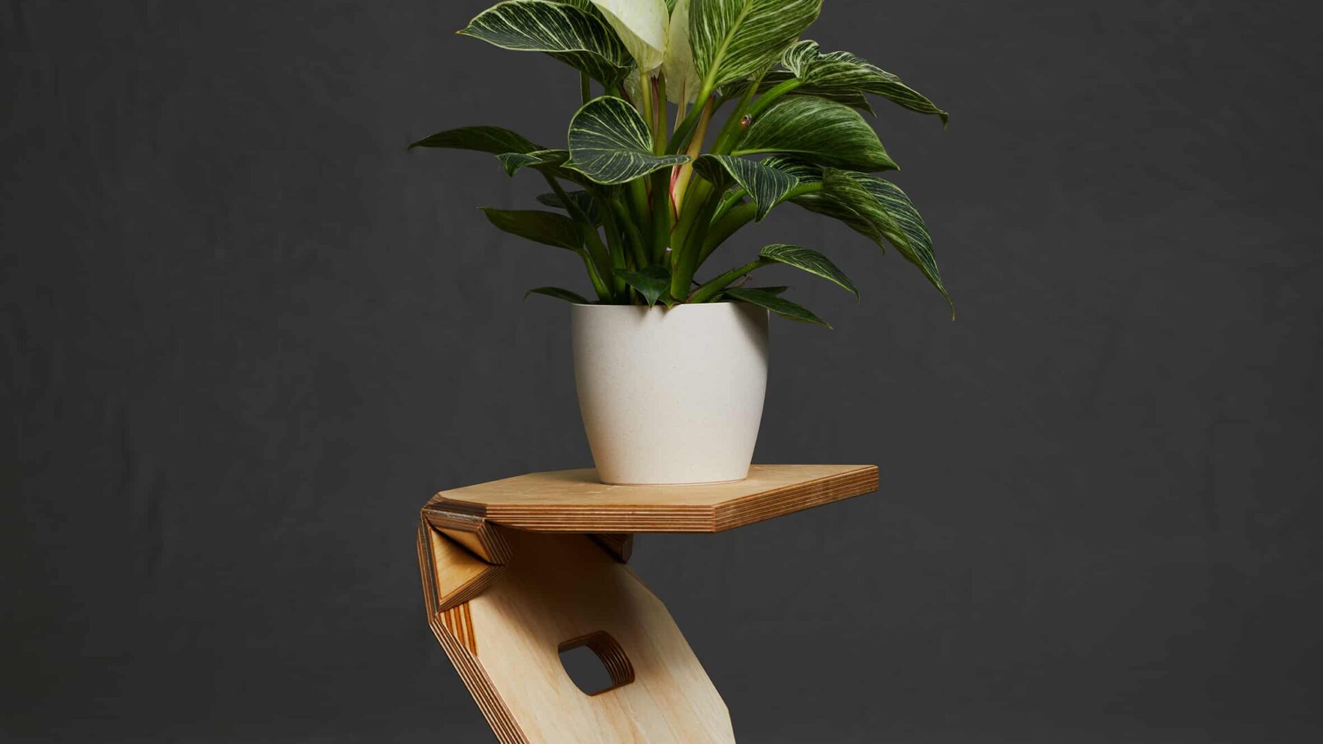 Sigma Seat