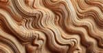 Teilnehmer Und Preisträger Des Wettbewerbs »Holz Bewegt«